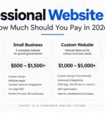 professional website development cost price table